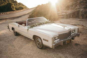 Cadillac Eldorado 3